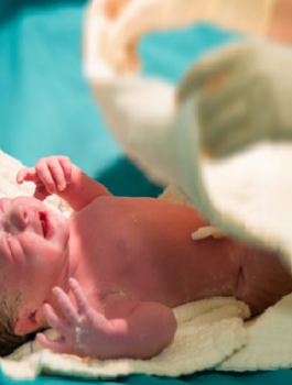 فرنسا والمواليد العرب 