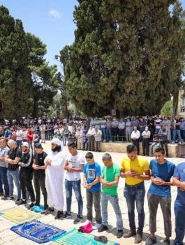 101861951_4090806290993780_6570708962495168512_n