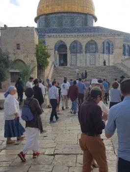 اقتحام المستوطنين للمسجد الأقصى المبارك 