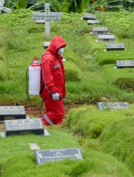 وفيات كورونا في العالم 