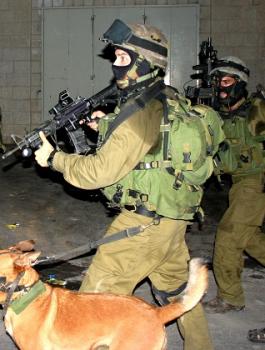 الاسرى الفلسطينين 