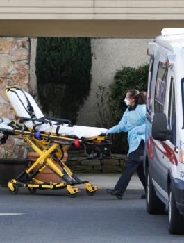 وفيات كورونا في اميركا 