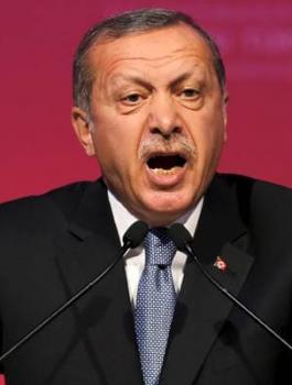 اردوغان والاكراد وسوريا 