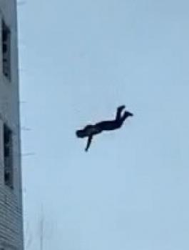 سقط عن علو في غزة 