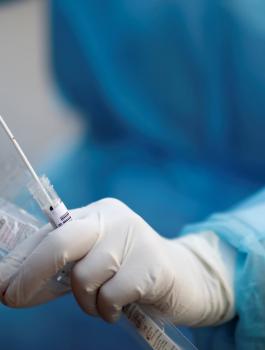 الجالية الفلسطينية والخليل 