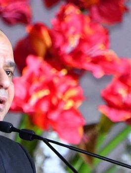 السيسي يصدر قراراً بزوج مصري من شابة سورية 