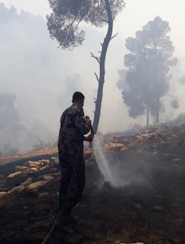 إخماد حريق ضخم في 120 دونم غرب الخليل