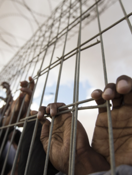 138d2ab62cfaff870114100c72f1ee54