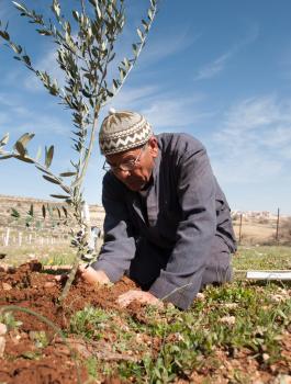 dreamstime_l_33146851__1_