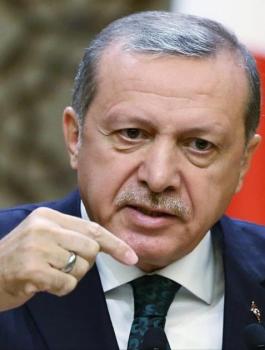 اردوغان وكوسوفو 