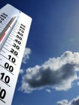 5e6f538eb55846ef78cb9c7559c25502