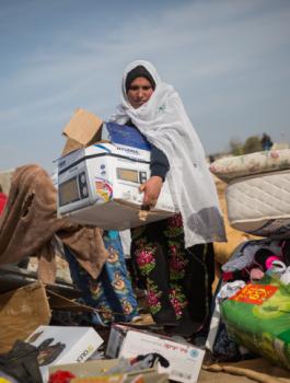 بلدات يهودية في النقب 