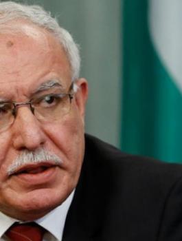 وزير الخارجية رياض المالكي