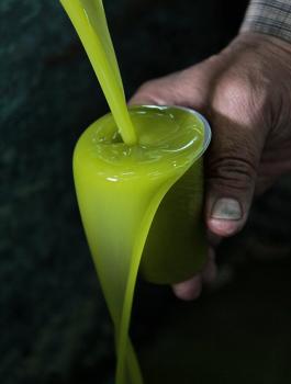 تصدير زيت الزيتون الفلسطيني عبر معبر الكرامة 