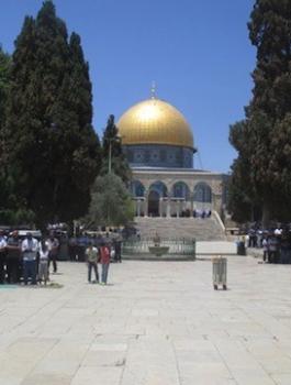 قطع اشجار المسجد الأقصى 