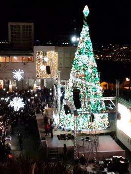 شجرة بيت لحم