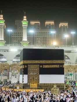 السعودية وموسوعة غينس للارقام 