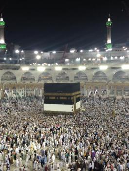 حجاج فلسطين 