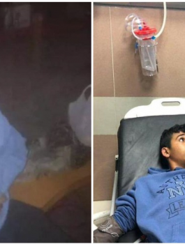 العثور على الطفل محمود البيطار 