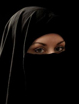 سويسرا والنقاب 