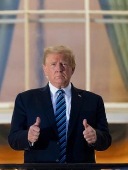 فريق ترامب والانتخابات الامريكية 