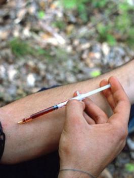 ضبط مخدرات في الضفة الغربية 