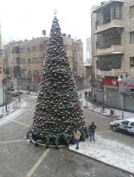 فصل الربيع في فلسطين 