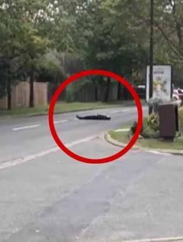 34482666-8848509-image-m-31_1602870157753