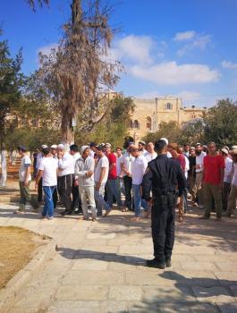 اقتحامات المستوطنين للمسجد الاقصى 