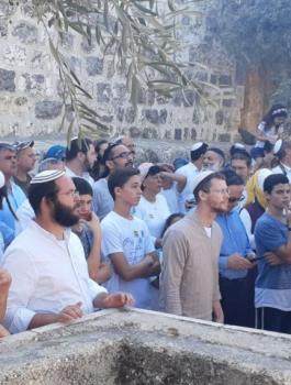 اقتحام المستوطنين للمسجد الأقصى المبارك 