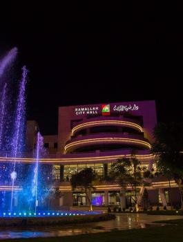 الهيئات المحلية 