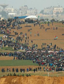 كبير الكتاب الاسرائيليين يستجدي أهالي غزة ودعوهم للسلام!