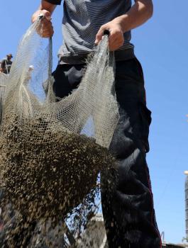 الكشف عن مخططات جاهزة لتحقيق التنمية في قطاع غزة