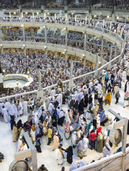 الانتهاء من ترتيبات سفر الحجاج