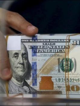 الدولار الامريكي 