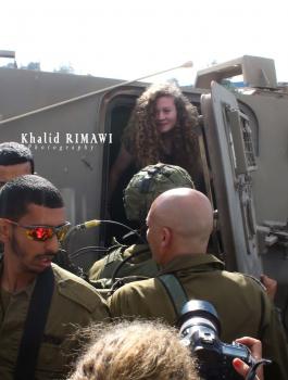 عهد التميمي 