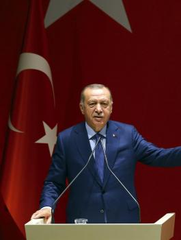 اردوغان والاستثمار في تركيا 