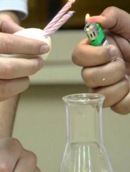 تجارب_علمية_للمدرسة