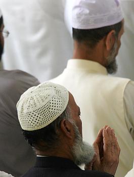 المسلمين 