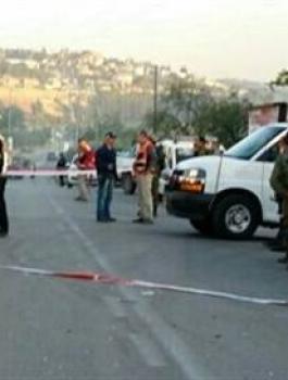 10269601_1020011791355622_8587845343443745685_n