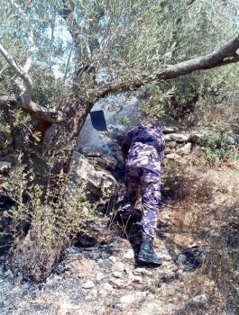 حريق يطال عشرات أشجار زيتون في قرية العرقة غرب جنين
