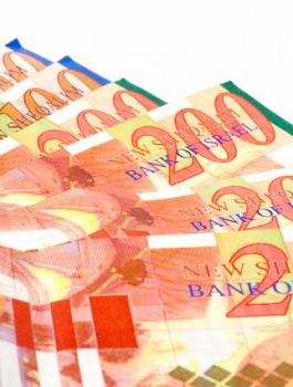 الدين العام الفلسطيني 