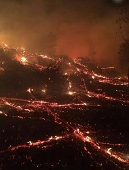 الحرائق في اسرائيل 