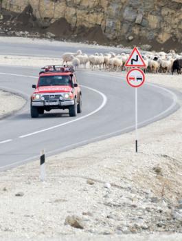  أب يشق طريقاً بطول 8 كيلو متر ليشجع أبناءه على زيارته