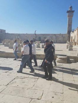 المستوطنين في الاقصى 