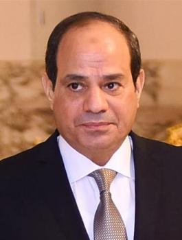 السيسي وفيروس كورونا 