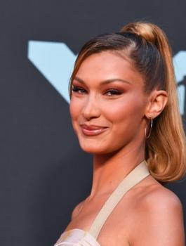 بيلا حديد وفلسطين 