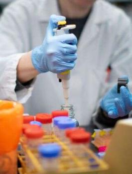 دولة عربية وفحص كورونا واسرائيل 