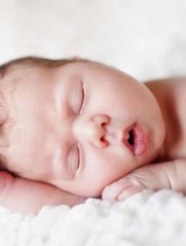 مواليد قطاع غزة 