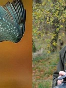 n-KINGFISHER-large570